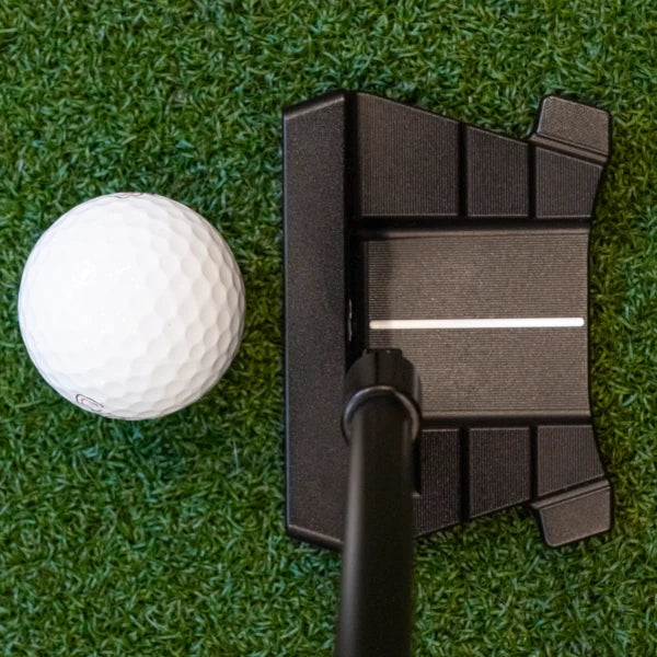 Sycamore 009Z Mini Torque Putter