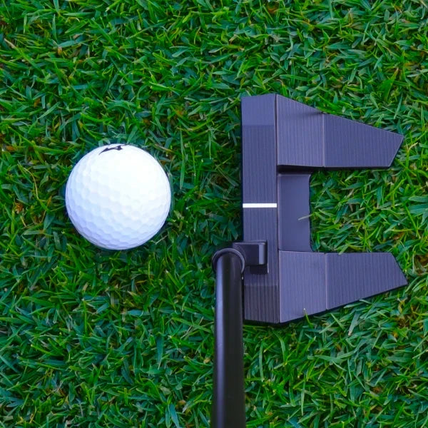Sycamore 010P Milled Putter